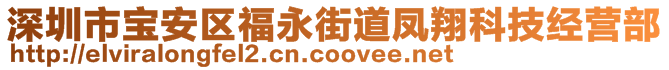 深圳市宝安区福永街道凤翔科技经营部