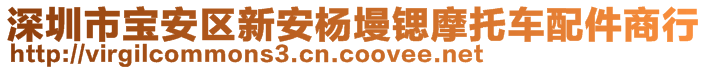 深圳市宝安区新安杨墁锶摩托车配件商行