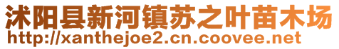 沭陽縣新河鎮(zhèn)蘇之葉苗木場