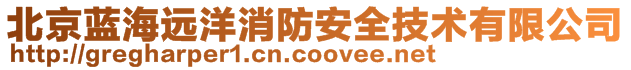 北京藍海遠洋消防安全技術(shù)有限公司