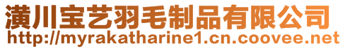 潢川寶藝羽毛制品有限公司