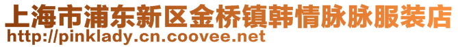 上海市浦東新區(qū)金橋鎮(zhèn)韓情脈脈服裝店