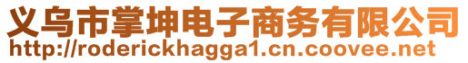 義烏市掌坤電子商務(wù)有限公司