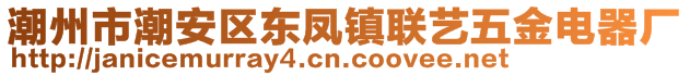 潮州市潮安區(qū)東鳳鎮(zhèn)聯(lián)藝五金電器廠(chǎng)