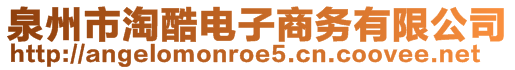 泉州市淘酷电子商务有限公司