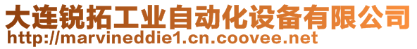 大連銳拓工業(yè)自動化設(shè)備有限公司