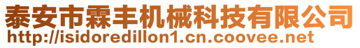 泰安市霖豐機械科技有限公司