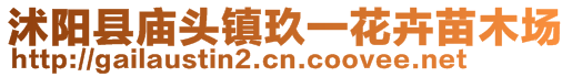 沭阳县庙头镇玖一花卉苗木场