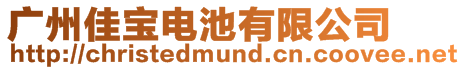 廣州佳寶電池有限公司