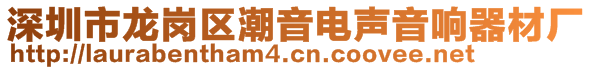 深圳市龍崗區(qū)潮音電聲音響器材廠