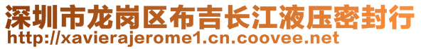 深圳市龙岗区布吉长江液压密封行