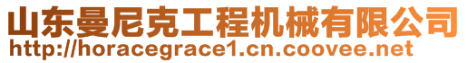 山东曼尼克工程机械有限公司