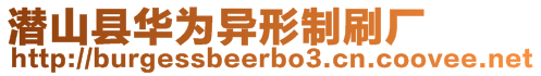 潛山縣華為異形制刷廠