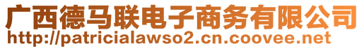 廣西德馬聯(lián)電子商務有限公司