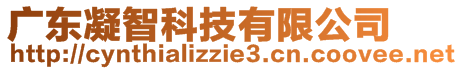 廣東凝智科技有限公司