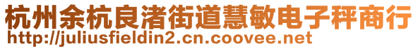 杭州余杭良渚街道慧敏電子秤商行