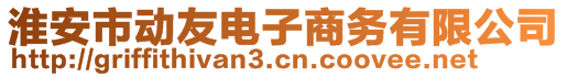 淮安市動友電子商務有限公司