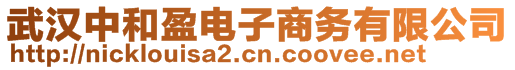 武漢中和盈電子商務(wù)有限公司