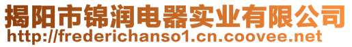 揭陽(yáng)市錦潤(rùn)電器實(shí)業(yè)有限公司