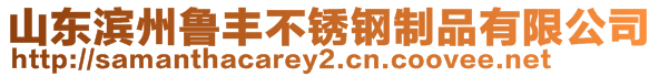 山東濱州魯豐不銹鋼制品有限公司