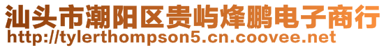 汕頭市潮陽區貴嶼烽鵬電子商行