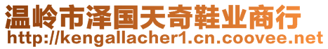 溫嶺市澤國天奇鞋業(yè)商行