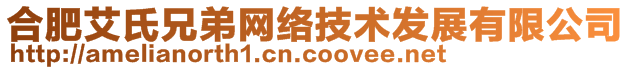 合肥艾氏兄弟网络技术发展有限公司