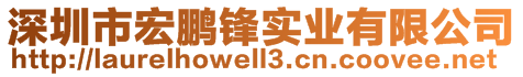 深圳市宏鵬鋒實(shí)業(yè)有限公司