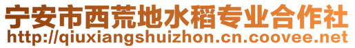 宁安市西荒地水稻专业合作社