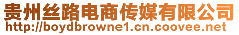貴州絲路電商傳媒有限公司