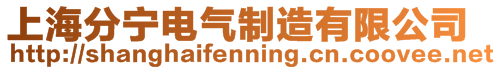 上海分寧電氣制造有限公司