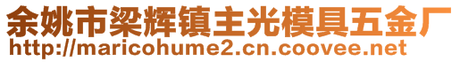 余姚市梁輝鎮(zhèn)主光模具五金廠