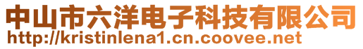 中山市六洋电子科技有限公司