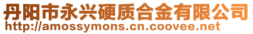 丹阳市永兴硬质合金有限公司