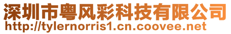 深圳市粵風彩科技有限公司