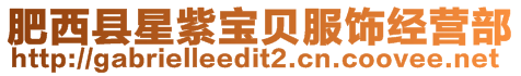 肥西縣星紫寶貝服飾經營部
