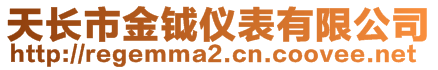 天長市金鉞儀表有限公司