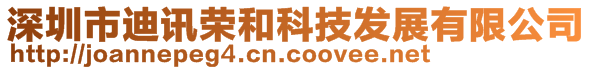 深圳市迪訊榮和科技發展有限公司