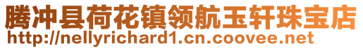 騰沖縣荷花鎮(zhèn)領(lǐng)航玉軒珠寶店