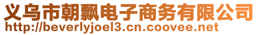 義烏市朝飄電子商務(wù)有限公司