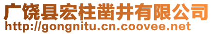 廣饒縣宏柱鑿井有限公司