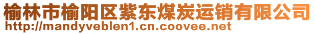 榆林市榆阳区紫东煤炭运销有限公司