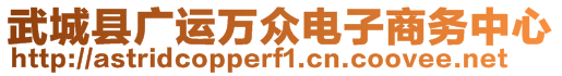 武城縣廣運(yùn)萬眾電子商務(wù)中心