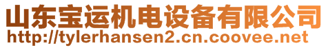 山東寶運機電設備有限公司