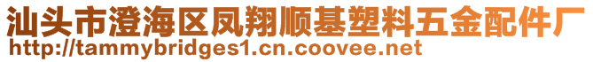 汕头市澄海区凤翔顺基塑料五金配件厂