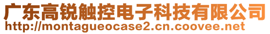 广东高锐触控电子科技有限公司