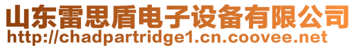 山東雷思盾電子設(shè)備有限公司