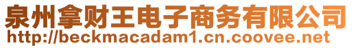 泉州拿財(cái)王電子商務(wù)有限公司