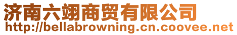 濟南六翊商貿有限公司