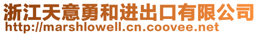 浙江天意勇和进出口有限公司